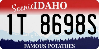 ID license plate 1T8698S