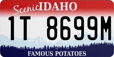 ID license plate 1T8699M