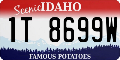 ID license plate 1T8699W