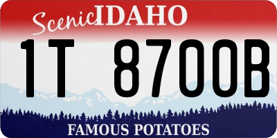 ID license plate 1T8700B