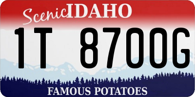 ID license plate 1T8700G