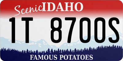 ID license plate 1T8700S
