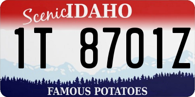 ID license plate 1T8701Z
