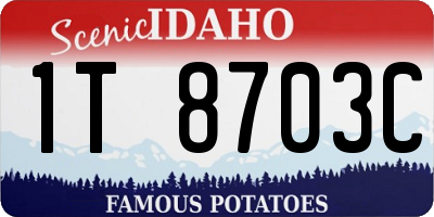 ID license plate 1T8703C