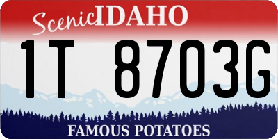ID license plate 1T8703G