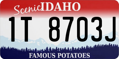 ID license plate 1T8703J