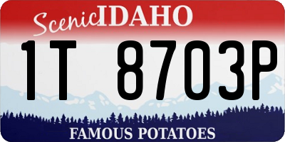 ID license plate 1T8703P