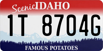 ID license plate 1T8704G