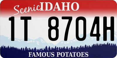 ID license plate 1T8704H