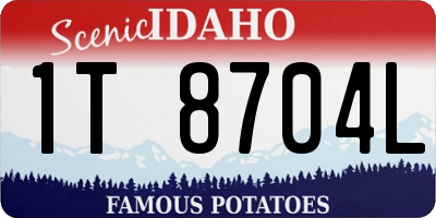 ID license plate 1T8704L