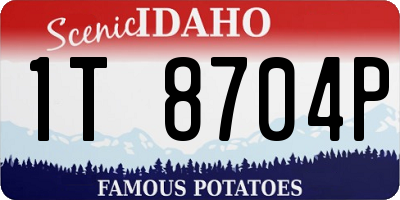 ID license plate 1T8704P