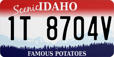 ID license plate 1T8704V