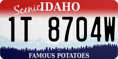 ID license plate 1T8704W