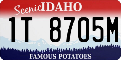 ID license plate 1T8705M
