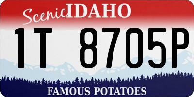 ID license plate 1T8705P