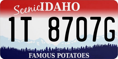 ID license plate 1T8707G