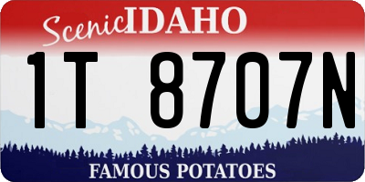 ID license plate 1T8707N