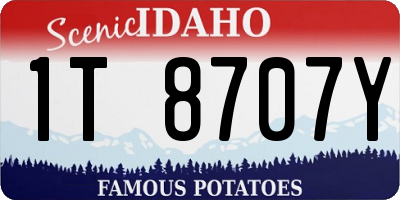 ID license plate 1T8707Y