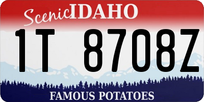 ID license plate 1T8708Z