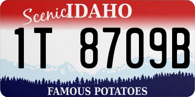 ID license plate 1T8709B