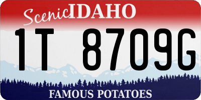 ID license plate 1T8709G
