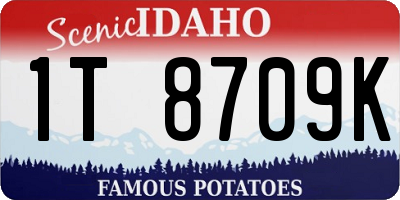 ID license plate 1T8709K