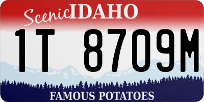 ID license plate 1T8709M