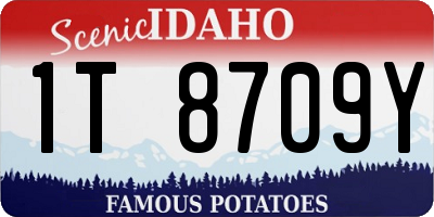 ID license plate 1T8709Y