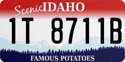 ID license plate 1T8711B
