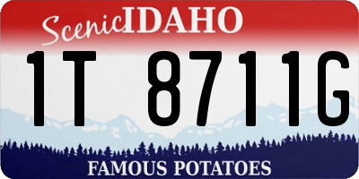 ID license plate 1T8711G