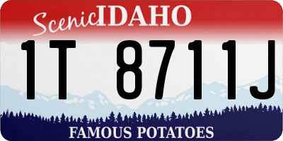 ID license plate 1T8711J