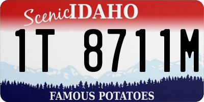 ID license plate 1T8711M