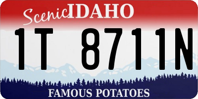 ID license plate 1T8711N