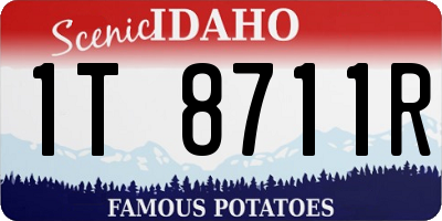ID license plate 1T8711R