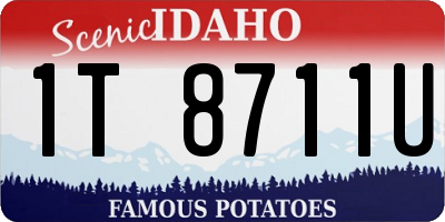 ID license plate 1T8711U