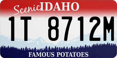 ID license plate 1T8712M
