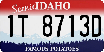 ID license plate 1T8713D