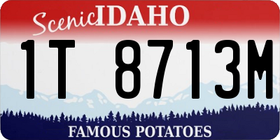 ID license plate 1T8713M