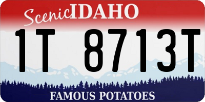 ID license plate 1T8713T
