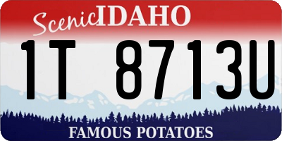 ID license plate 1T8713U