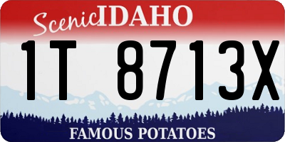 ID license plate 1T8713X