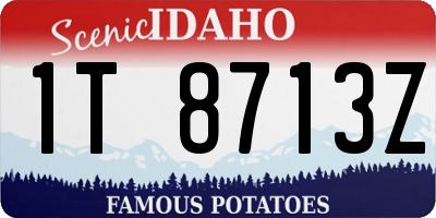 ID license plate 1T8713Z