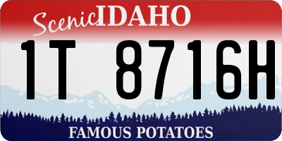 ID license plate 1T8716H