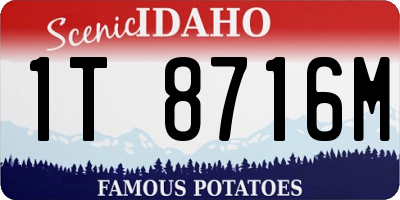 ID license plate 1T8716M