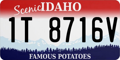 ID license plate 1T8716V