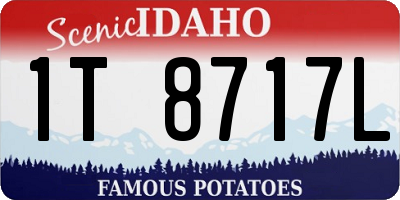 ID license plate 1T8717L