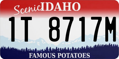 ID license plate 1T8717M