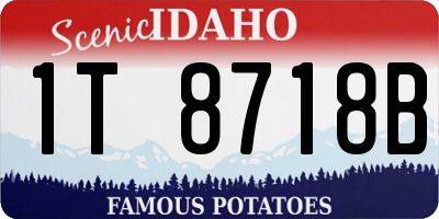 ID license plate 1T8718B