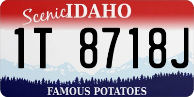 ID license plate 1T8718J