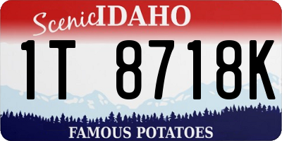 ID license plate 1T8718K